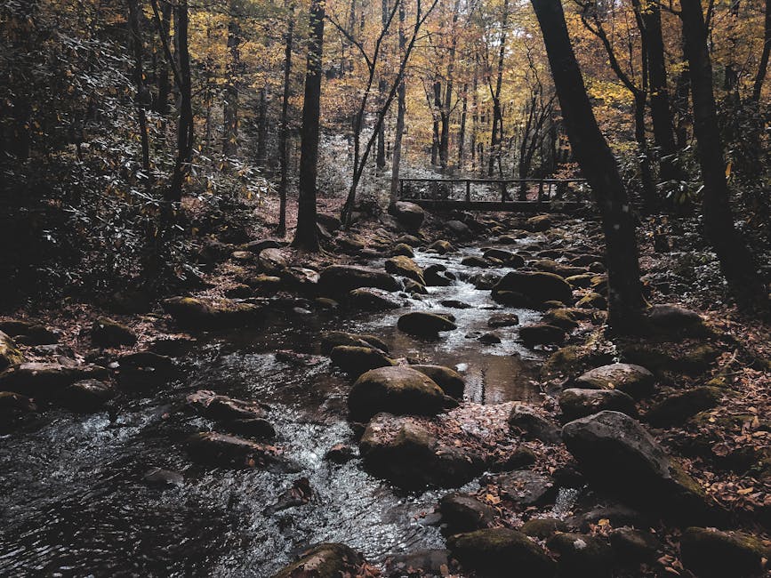 股市期貨:在波動中尋找人生的智慧